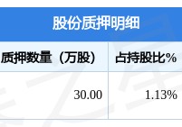 山东赫达（002810）股东毕于东质押30万股，占总股本0.09%