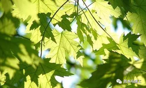 聚合物水泥防水涂料应用误区，你了解几个？
