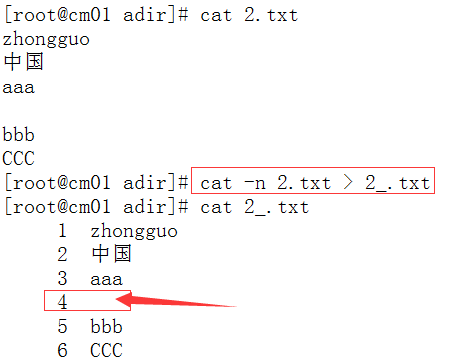 （知识点）HTML文件的区别，你知道吗？
