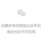 如何使用表格？标签的使用方法有哪些呢？