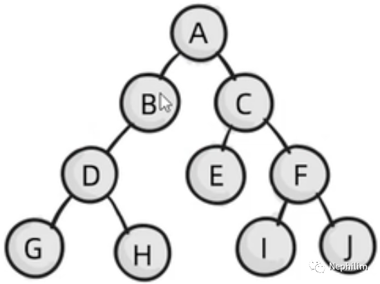 Tips：一些笔记2023/1/21SUNDAY人生的真相