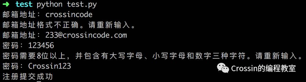 用Python做一个类似的输入验证机制，你知道吗？