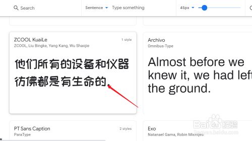禁用谷歌字体镜像加速Gravater头像受到dns污染的影响