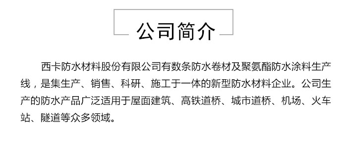 JS防水涂料防水带着精益求精的工作态度和完善创新理念