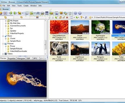 图像浏览器XnView v2.52.0中文绿色便携全功能扩展企业版