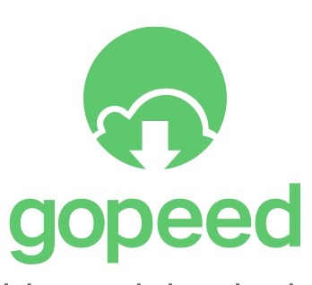 Gopeed v1.6.11便携版 | 开源Torrent种子下载器