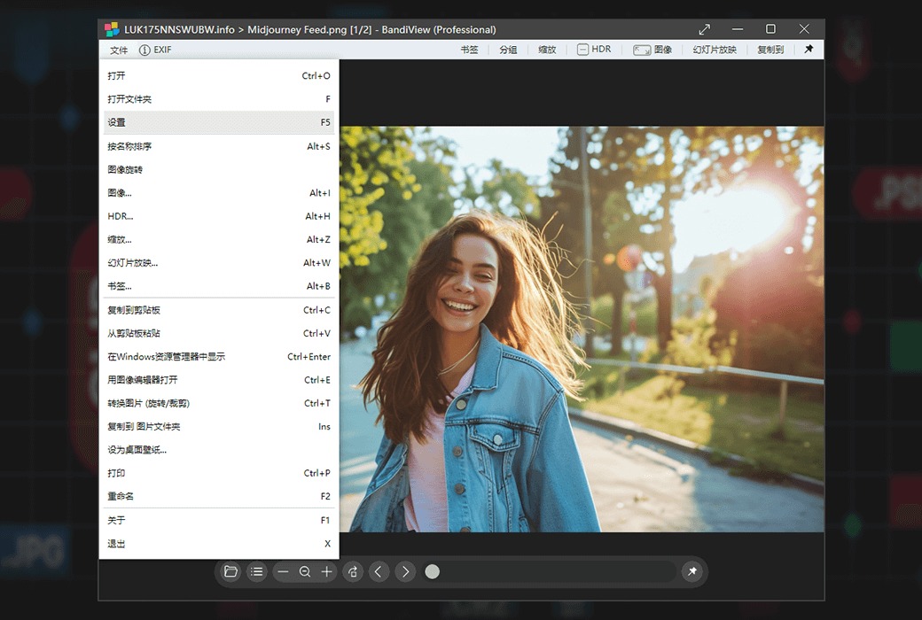 BandiView v7.13绿色版 | 图像查看器