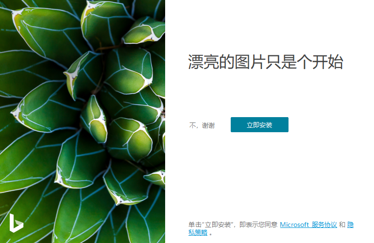 Bing Wallpaper v2.0.1.4中文版 | 开源的桌面壁纸软件