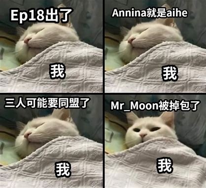 做MEME梗图 | 在线制作MEME梗图
