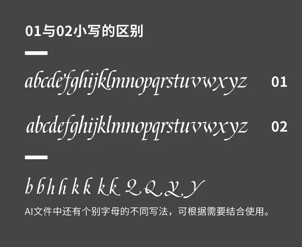 站酷意大利体 ZCOOL Addict Italic | 站酷冠名首款西文字库