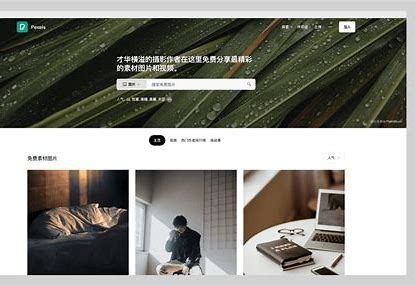 Pexels | 无版权高清图片素材网站