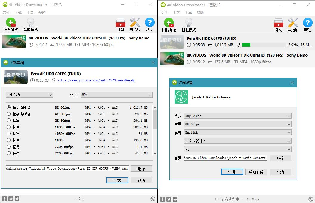 4K Video Downloader最新版 | 油管高清视频下载