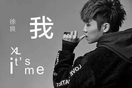 《徐良歌曲大全》网盘资源免费下载