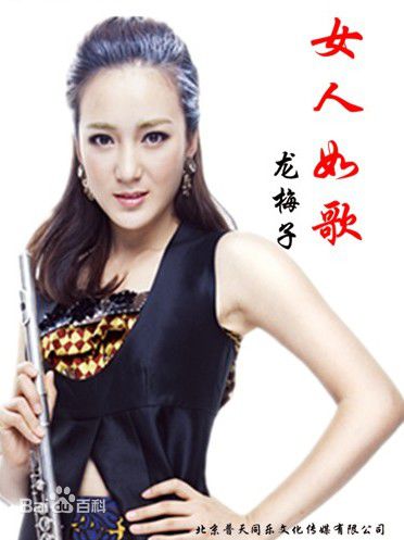 龙梅子的歌曲大全 百度网盘下载