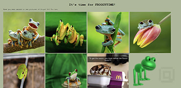 Froggy Time | 青蛙美照欣赏